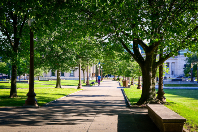 Public Park Development